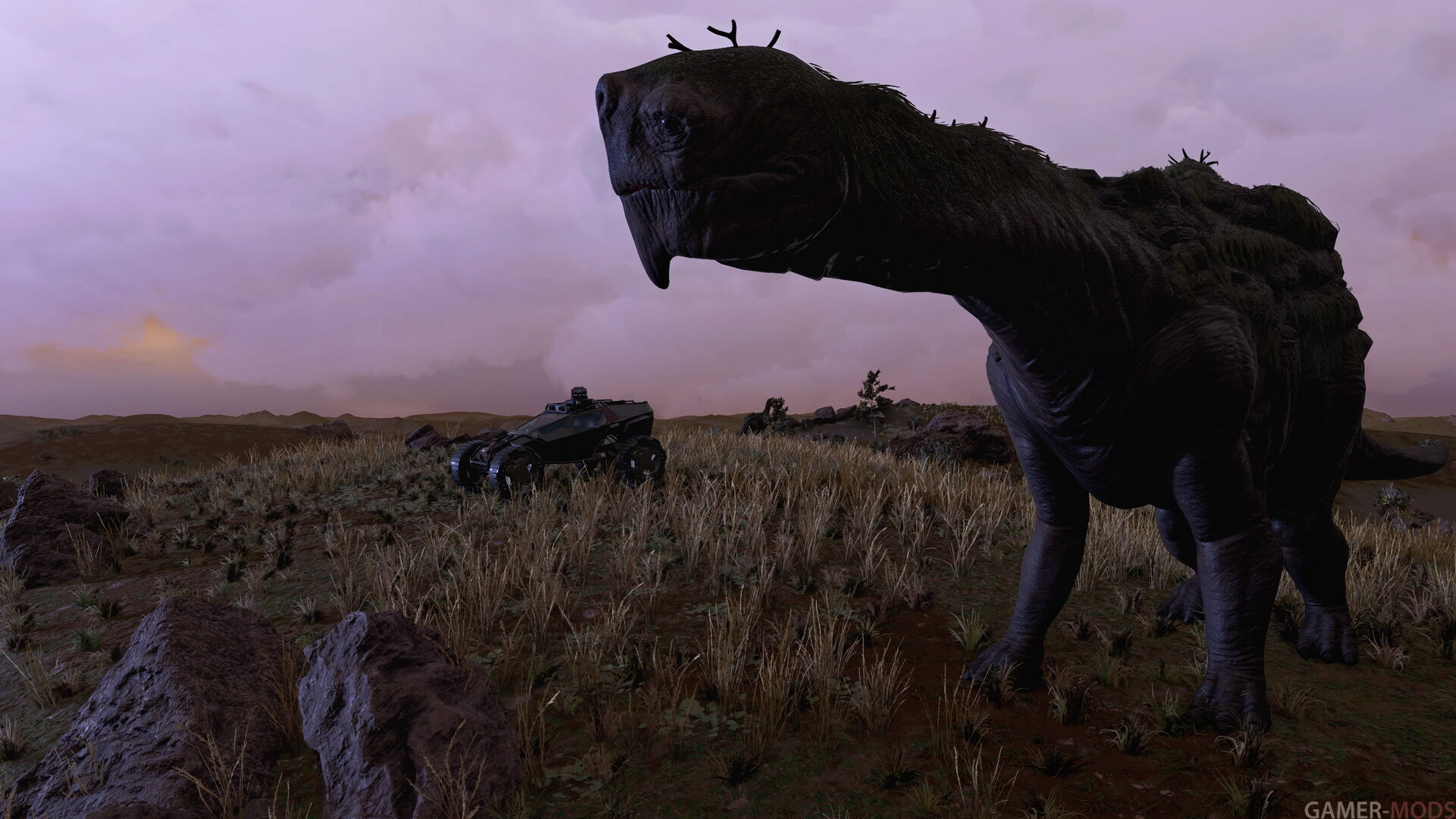 Фотография 533