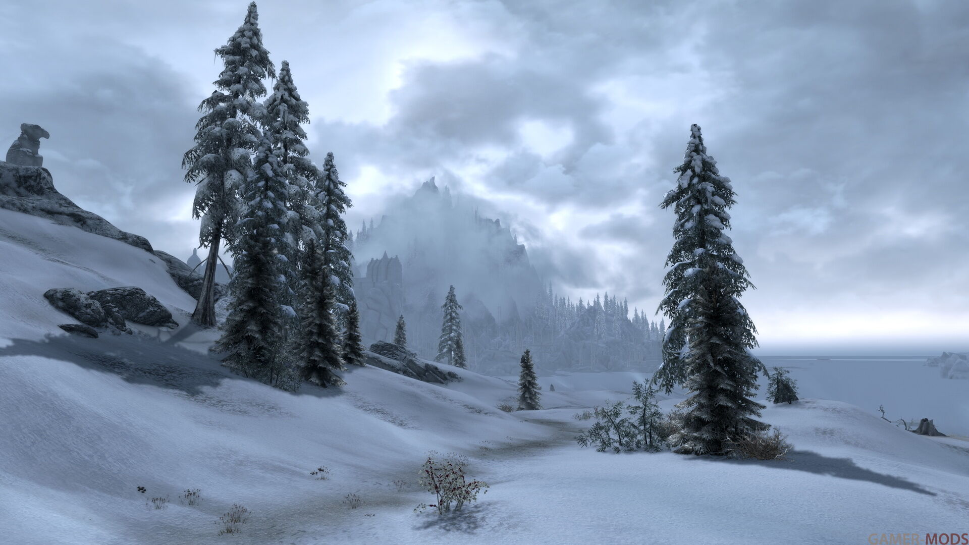 Фотография 486