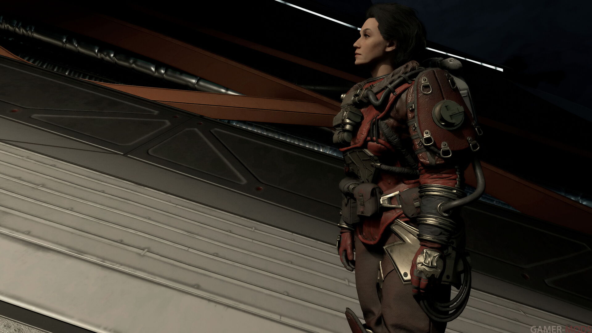 Фотография 544