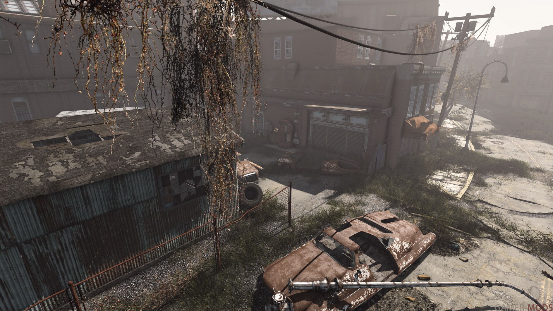 Фотография 474