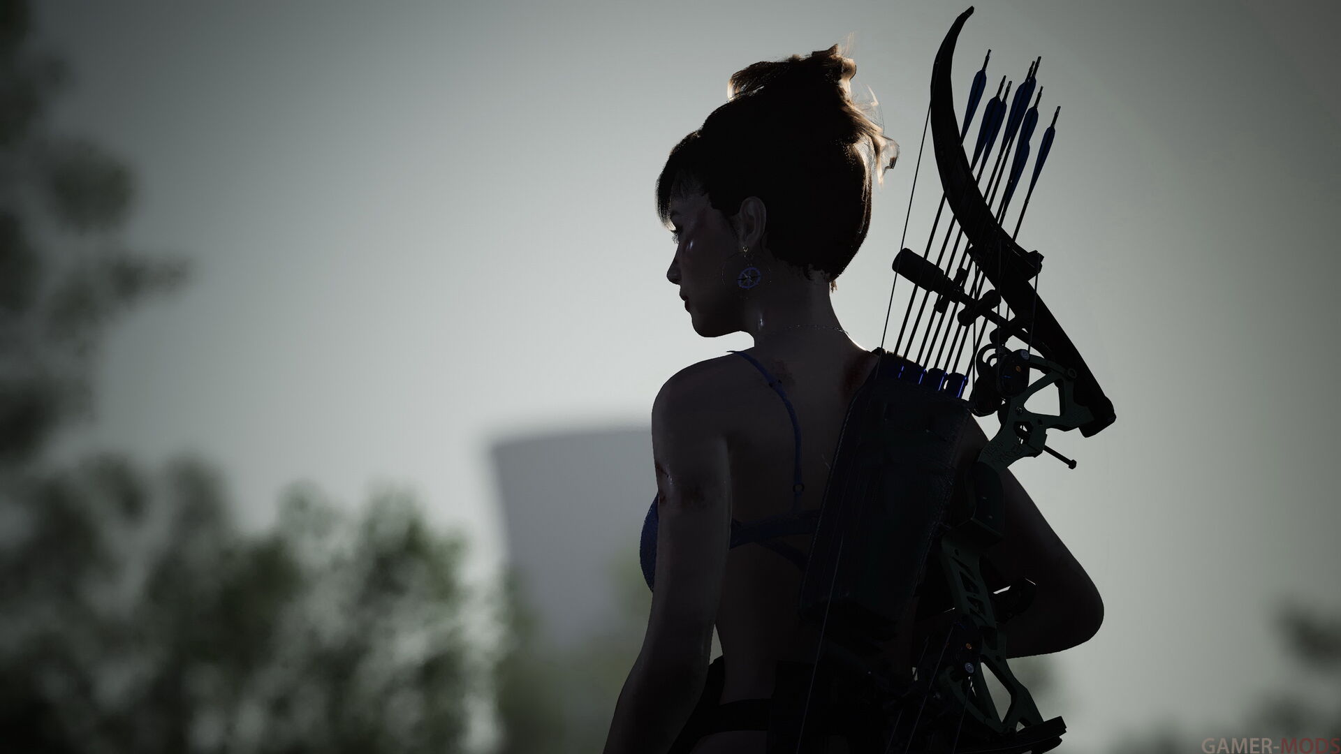 Фотография 530