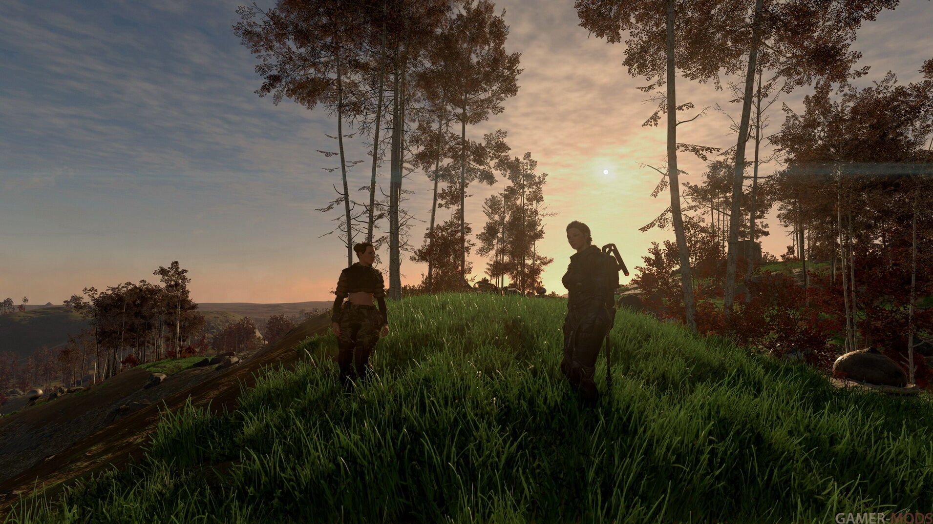 Фотография 508