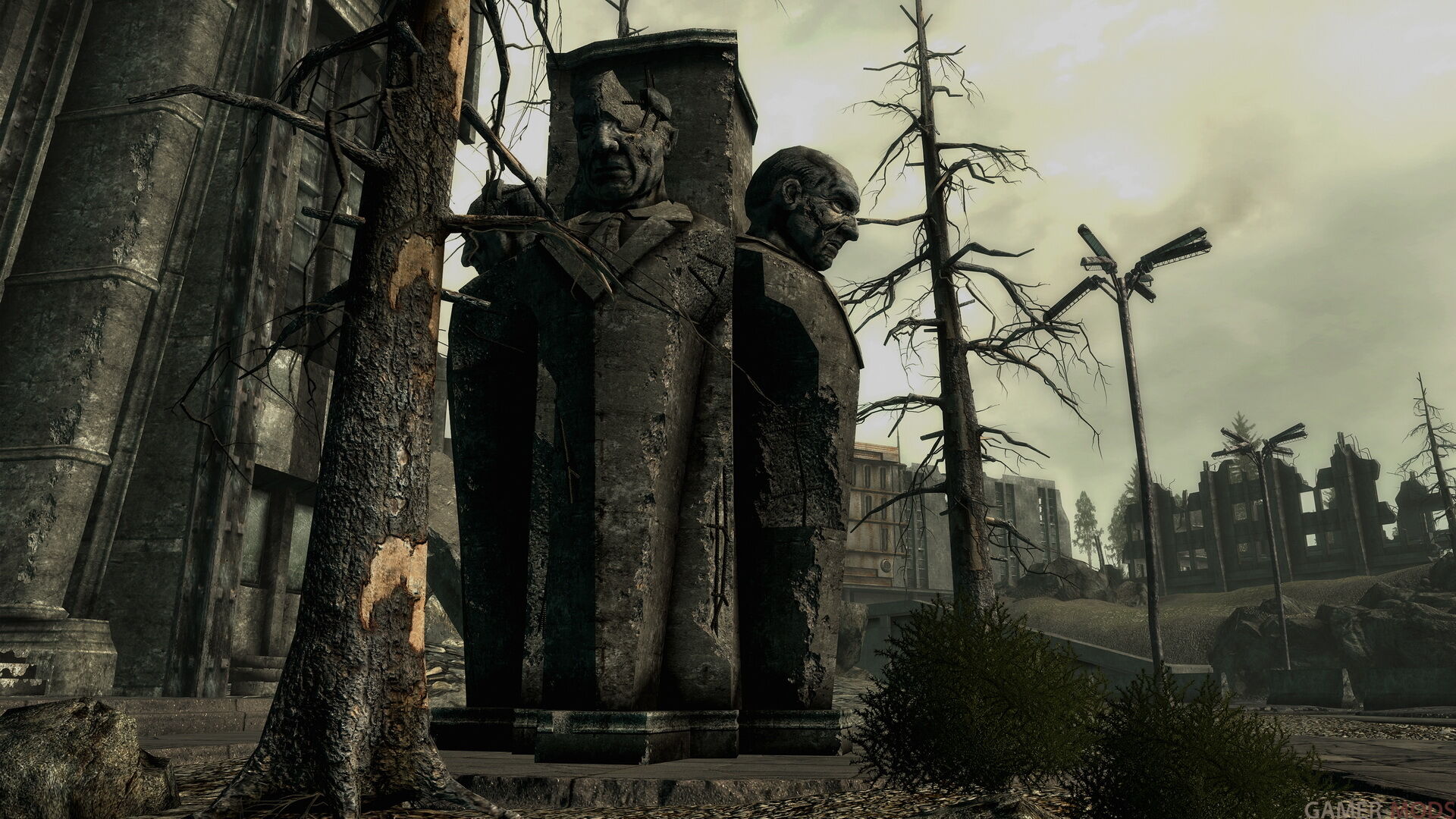 Фотография 478