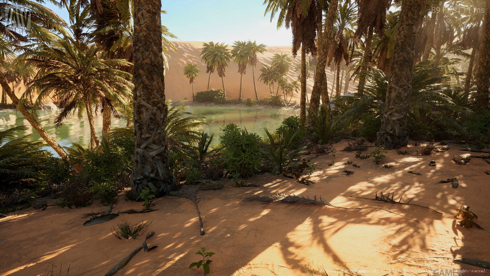 Фотография 542