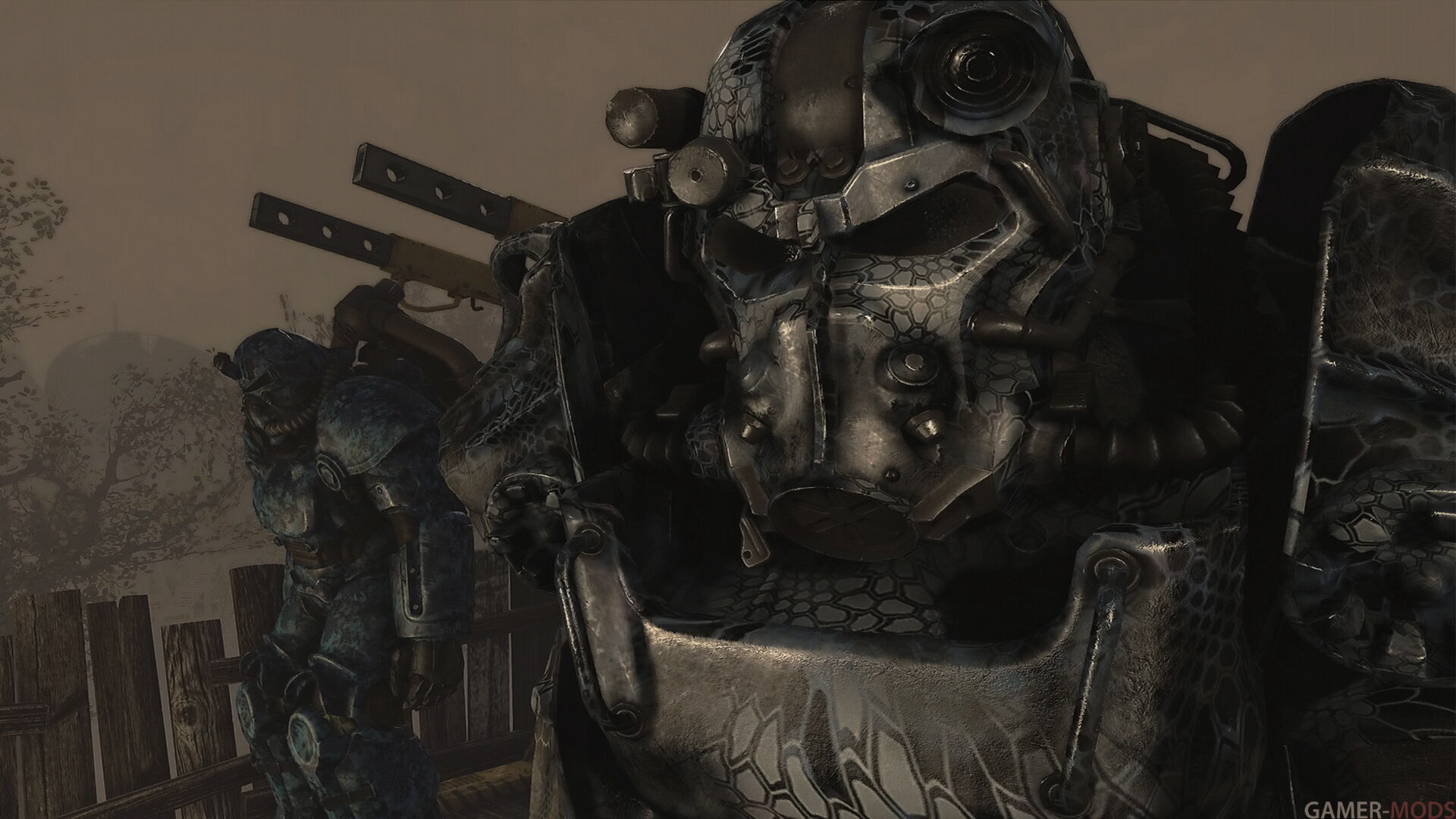 Фотография 459