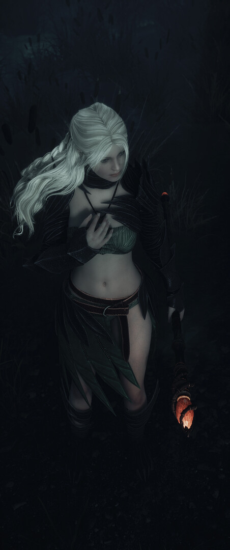 В землях Деменции