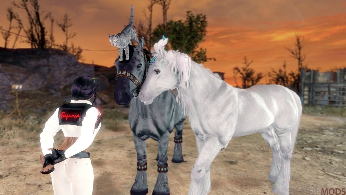 Сводник блохастый=)