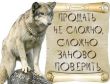 Аватар Wolf_fr