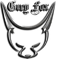 Аватар GFox