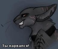 Аватар 34564576