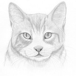 Аватар Серк